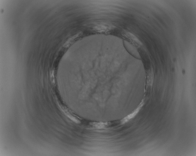 X0000081470182200702092349