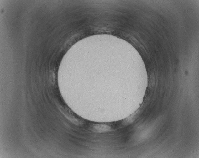 X0000081470183200702092349