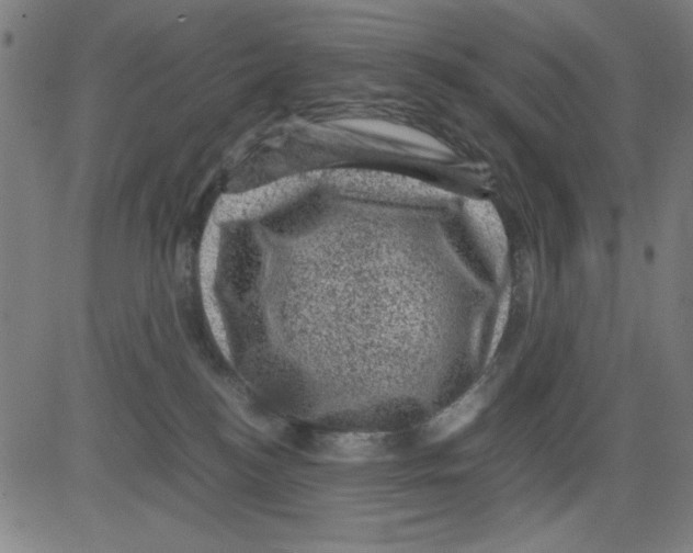 X0000081470184200702092349