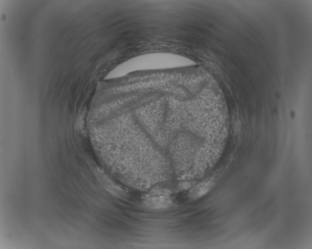 X0000081470185200702092349