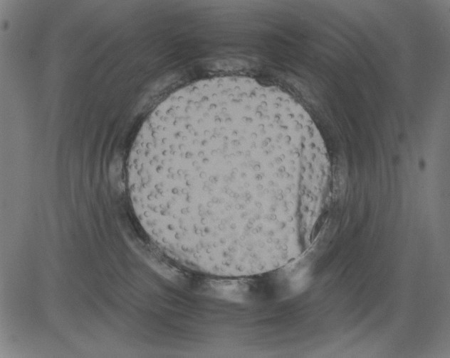 X0000081470187200702092349