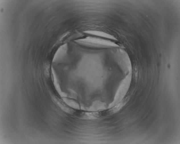 X0000081470188200702092349