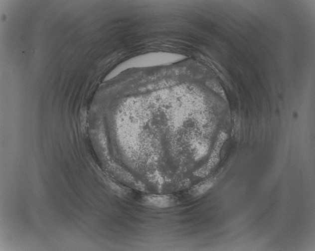 X0000081470189200702092349