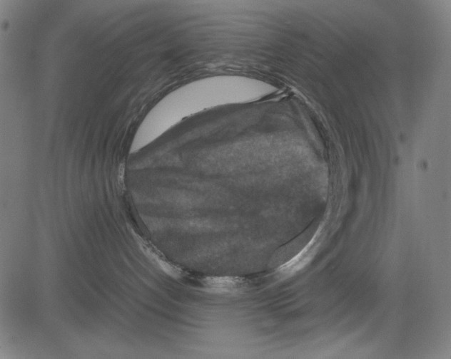 X0000081470192200702092349