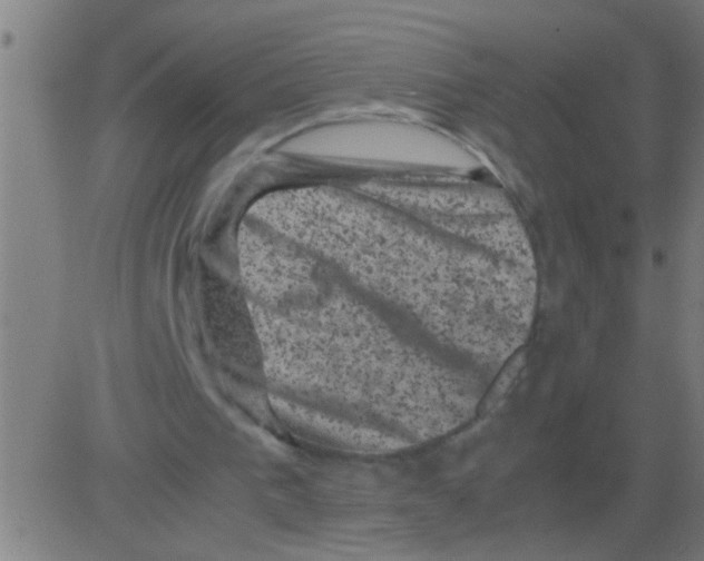 X0000081470193200702092348