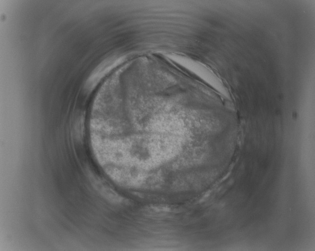 X0000081470194200702092348