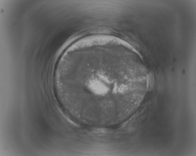 X0000081470195200702092348