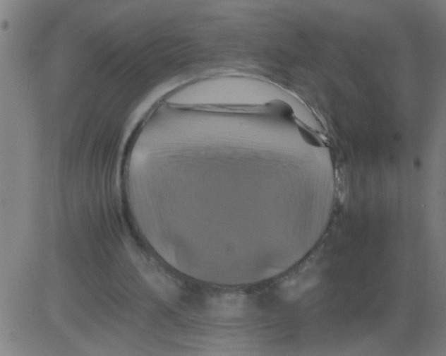 X0000081470196200702092348