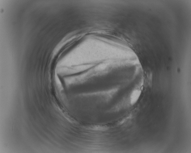 X0000081470198200702092348