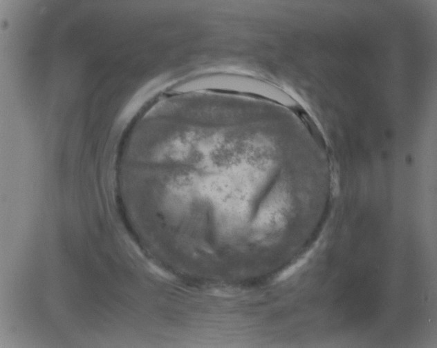 X0000081470199200702092348