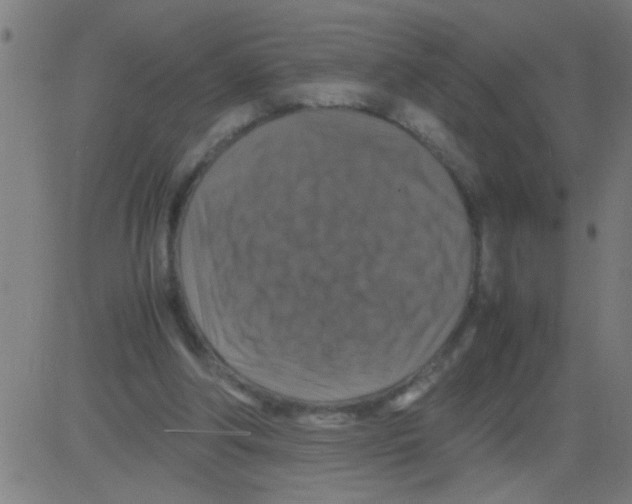 X0000081470202200702092348