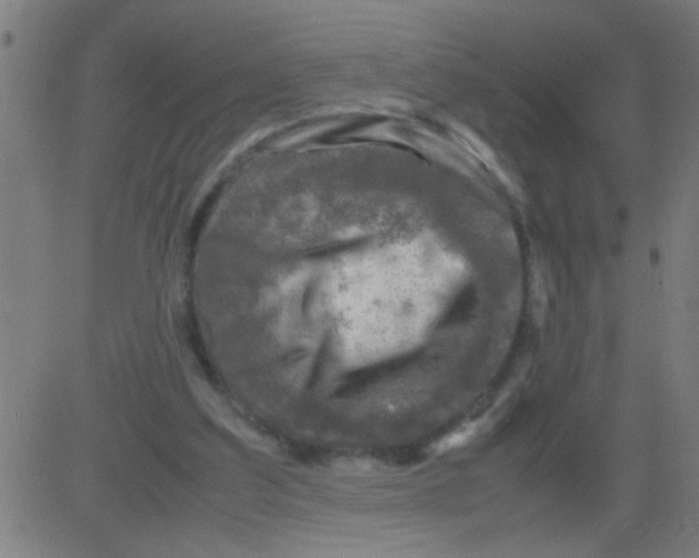 X0000081470203200702092348