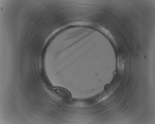 X0000081470204200702092348