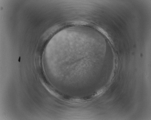 X0000081470205200702092348