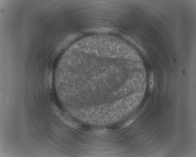 X0000081470206200702092348