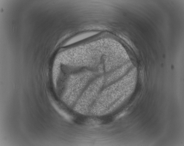 X0000081470207200702092348