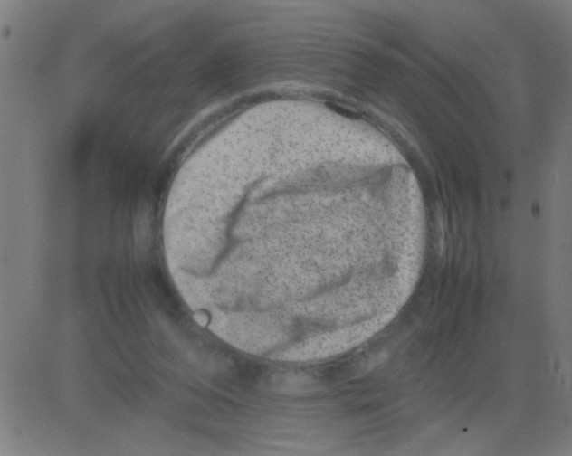 X0000081470208200702092348