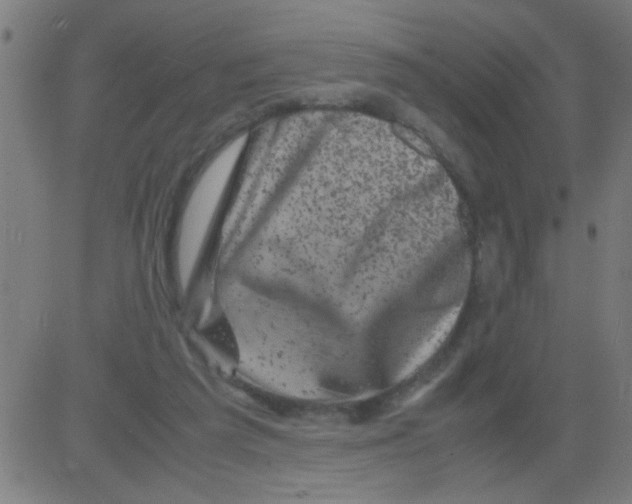 X0000081470209200702092348