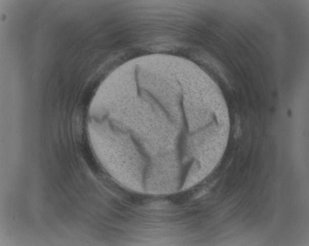 X0000081470210200702092348