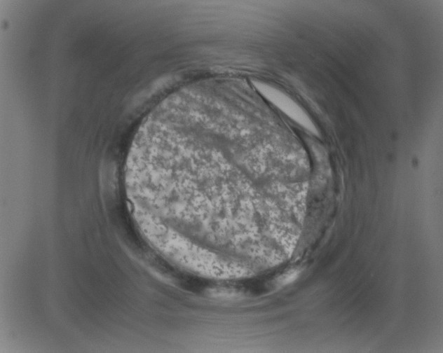 X0000081470211200702092348