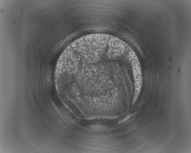 X0000081470212200702092348