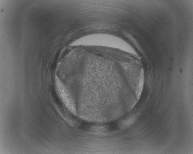 X0000081470213200702092348