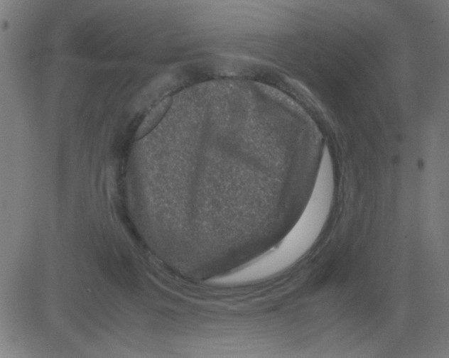 X0000081470217200702092348