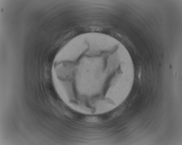 X0000081470218200702092348