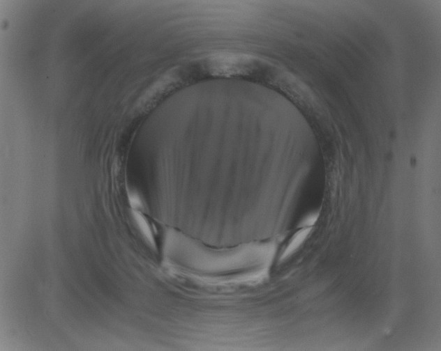 X0000081470219200702092348