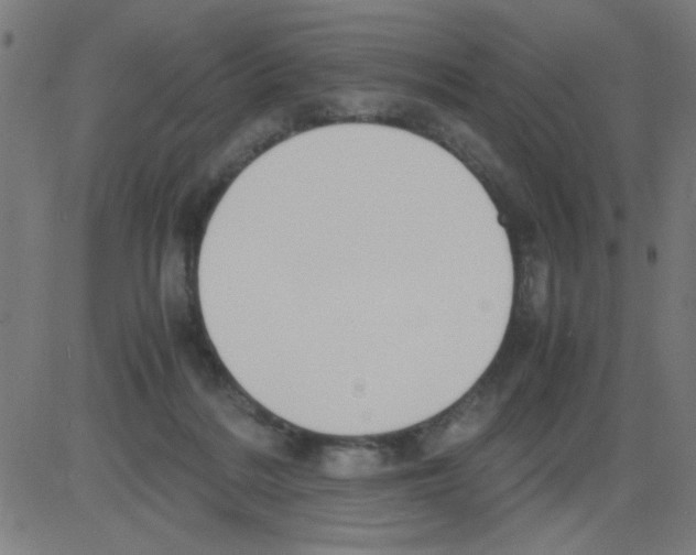 X0000081470220200702092348