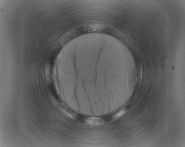 X0000081470222200702092348