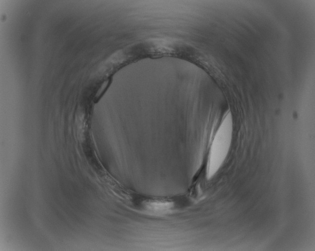 X0000081470223200702092348