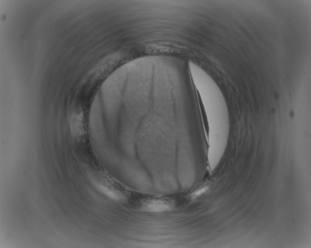 X0000081470224200702092348