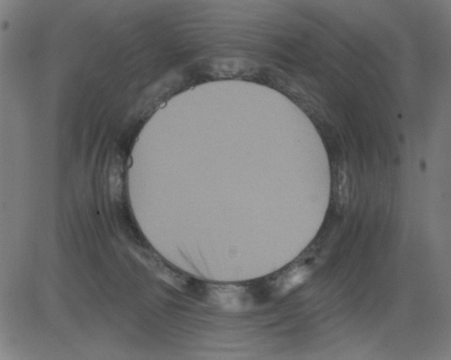 X0000081470226200702092348