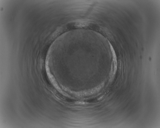 X0000081470227200702092348