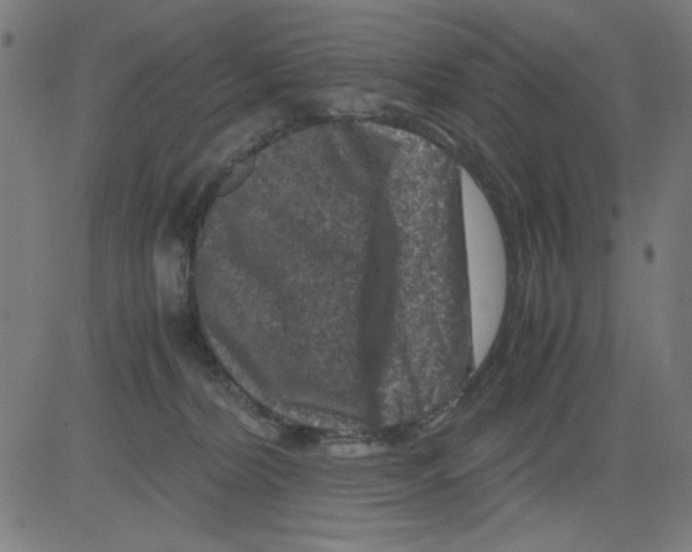 X0000081470228200702092348