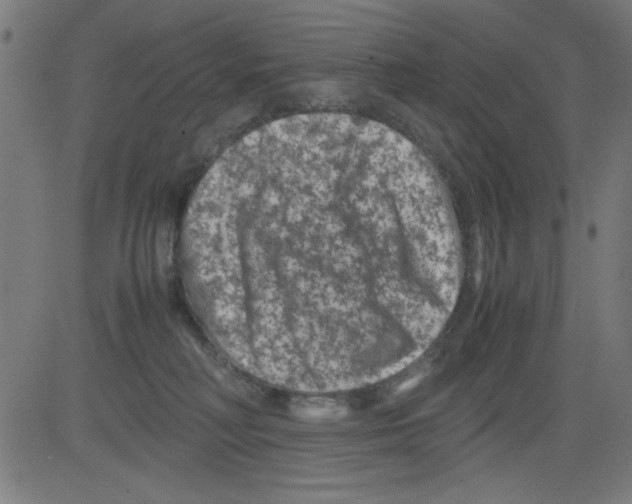 X0000081470230200702092348