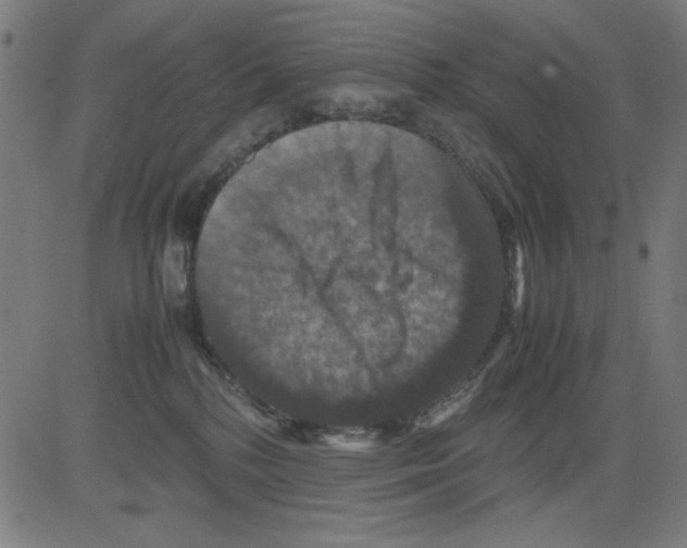 X0000081470232200702092348