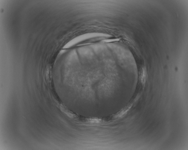 X0000081470233200702092348