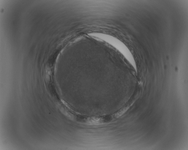 X0000081470235200702092348