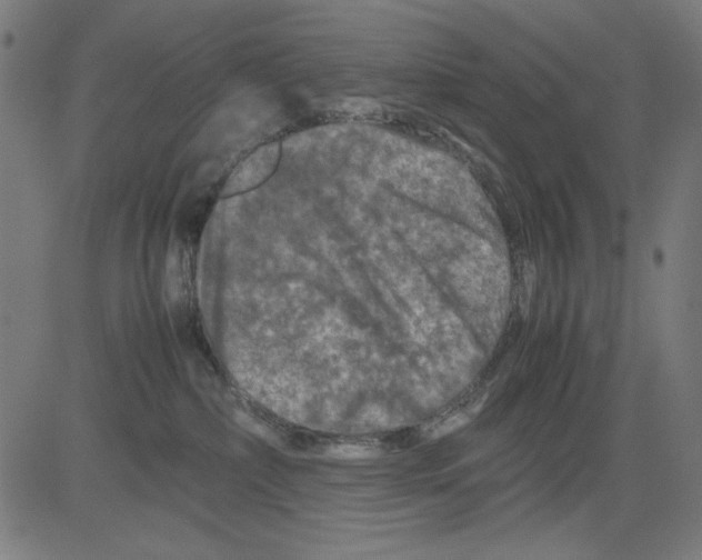 X0000081470236200702092348