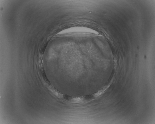 X0000081470237200702092348