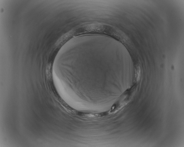 X0000081470239200702092347