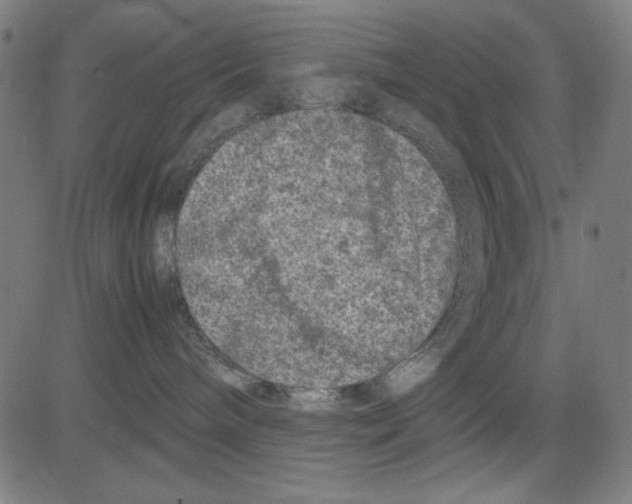 X0000081470240200702092347