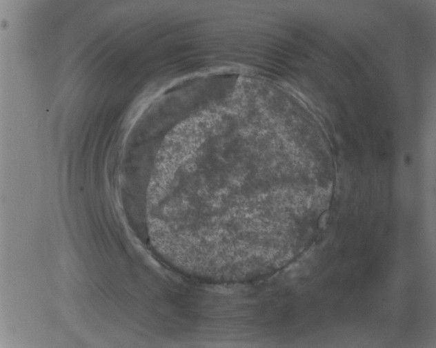 X0000081470241200702092347