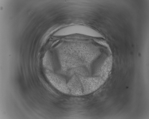 X0000081470242200702092347