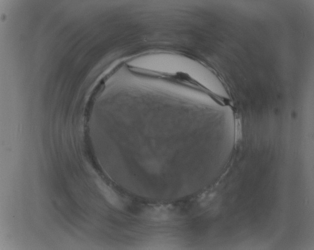 X0000081470243200702092347