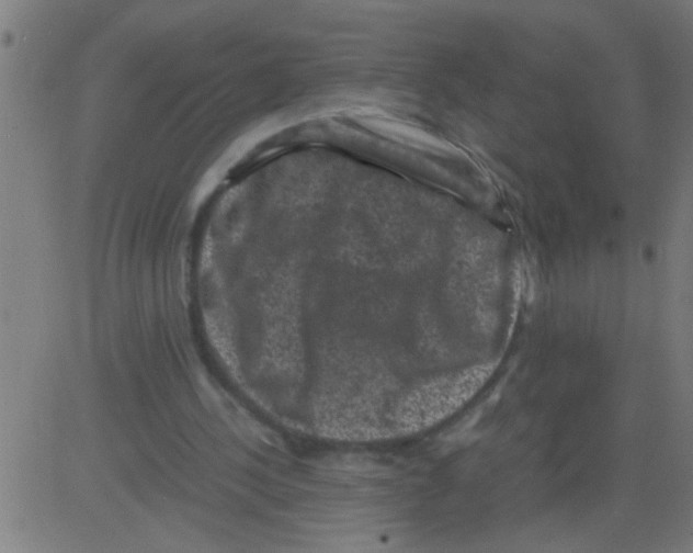 X0000081470244200702092347