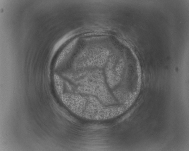 X0000081470246200702092347