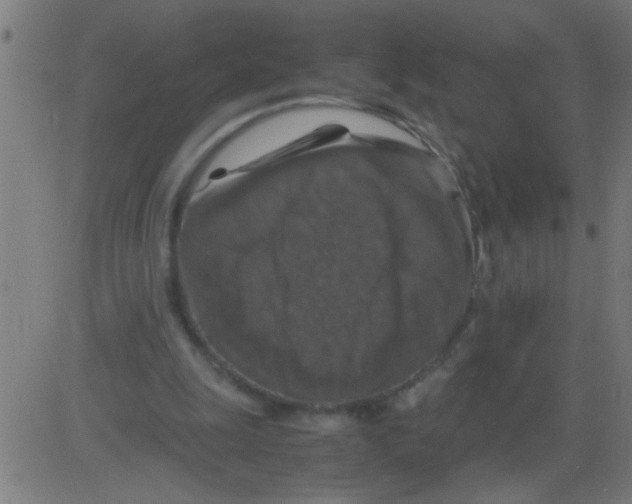 X0000081470247200702092347